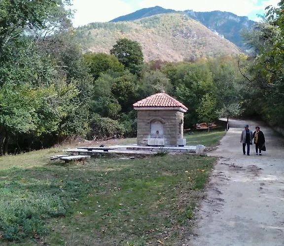 Guest house Vila Bachkovo Bachkovo