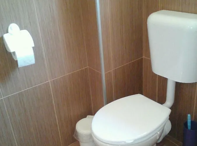 Vila Bachkovo Guest house Bachkovo