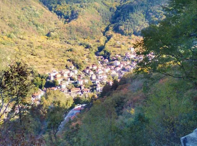 Къща за гости Vila Bachkovo